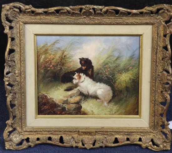 George Armfield (fl.1840-1875) Spaniels flushing ducks and Terriers beside a rabbit hole 8 x 10in.